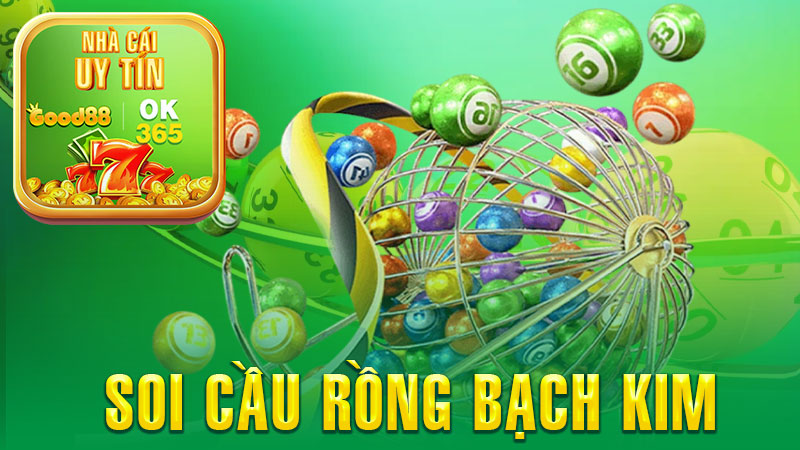 SOI CẦU RỒNG BẠCH KIM